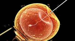 试管移植后，几天内胚胎安家？