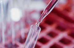 台湾试管圆梦之旅，成功率究竟有多高？