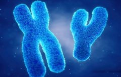 大连试管选性别费用包含这些项目，具体费用解读