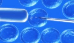试管的基本流程，借卵试管费用一般10万元以上