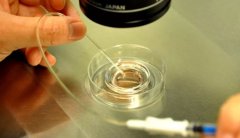 试管胚胎移植后多长时间算安全？早看看心里放心！