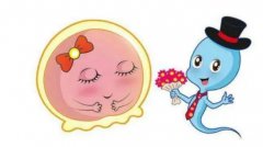 试管选择性别技术优势很多，但也需注意这些弊端