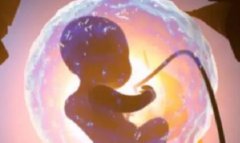 收藏！三代试管选择性别有助于发现遗传病