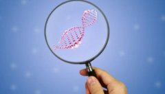 澳门试管具有可靠性，这些优势提前了解