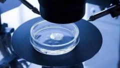 一文介绍国内私人第三代试管技术，全新的理念和技术