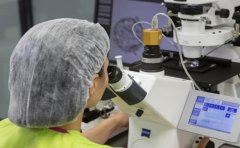 试管具体程序详解，试管有这些优势