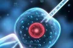 试管移植做完6天都没反应，不一定表示移植失败