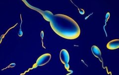 试管胚胎移植会发生什么?试管胚胎移植会出现什么?