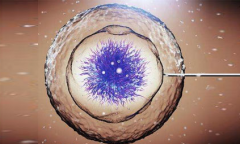 试管与癌症风险：科学解析，破除谣言大揭秘！