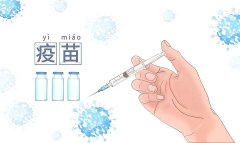 流感疫苗全解析：接种禁忌与重要注意事项概览