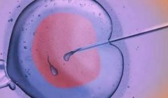 实现生育梦想，成都私人医院试管技术怎么样？