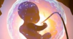 成功率很高！一文了解常州私人医院试管技术