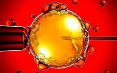 专业的医疗团队，一文了解江苏私人试管服务机构