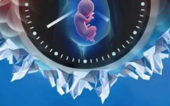 完善的诊疗设施，一文了解天津私人试管的优势