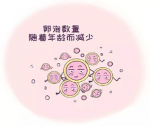 做试管怎么提高取卵数量？重要方法需掌握！