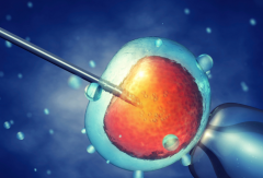 试管囊胚移植失败很快会来月经，失败原因有多种