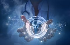 试管胚胎着床过程是怎样的?试管胚胎着床过程需要做什么?