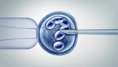 跨越年龄界限，高龄夫妇试管成功率有多少？