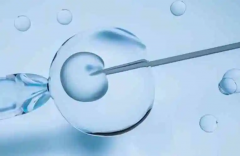 香港试管：揭秘顶级医院与费用明细