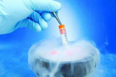 试管费用全解析：从准备到成功的费用指南