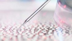 科学技术发展新模式，试管可以选胎儿性别的原理