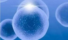 自然受孕困难，这些情况需要做试管