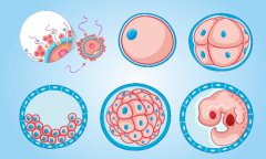 如何进行第二次移植？为什么要进行第二次移植？
