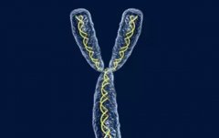 试管染色体检查是否必要,染色体检查的目的了解