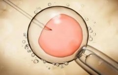 三分钟告诉你试管移植的最佳时间！