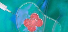 试管|促排后多久才能进行取卵？