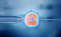 试管囊胚移植的最佳时间点