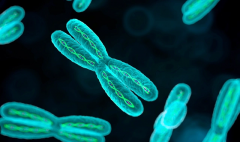 试管胚胎染色体全面异常应对指南：揭秘根源，寻找解决方案