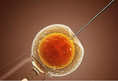 试管胚胎移植的最佳时机：揭秘胚胎成长周期，助您精准选择