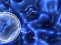 试管成功秘诀：胚胎数量与质量的双重考量，为您顺利当妈护航