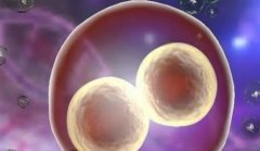 供卵试管选男孩的费用都包含什么费用？具体金额视情况而定