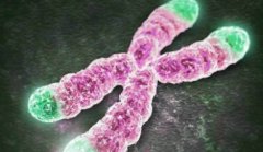 一文了解为什么试管染色体预约应尽早进行？