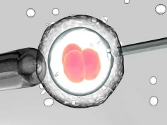 探寻知名试管医院：专业指导与先进技术的完美结合
