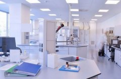 治疗不孕不育，试管成功率受哪些因素影响？