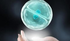 试管多长时间才能做一次，做试管的流程解析