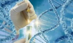 冻胚可以检测婴儿性别吗,存在哪些风险？