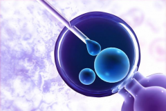 试管移植后流血块是常见症状，不一定表示移植失败！