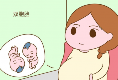 试管双胞胎几率高，如何预防生育多胞胎？