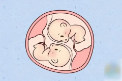 试管优选医院指南：推荐几家业界知名的知名医疗机构！