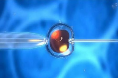 女性未婚也可选择试管：独立生育权的新篇章！