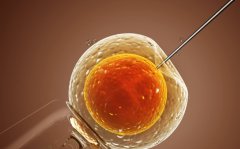 试管的整个过程了解，大概需要4-6个月的时间