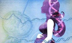 一文了解放胚胎是怎么回事，这些优势和风险知晓