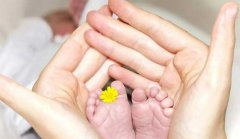 一文了解试管方案用药，有哪些注意事项？