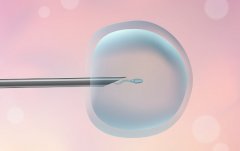 一文了解整个试管程序，选择经验丰富的试管医生