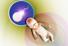 一文了解国外试管和国内试管的差异