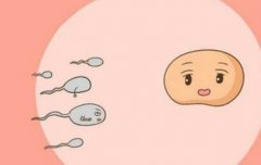 治疗不孕不育，试管囊胚技术解析